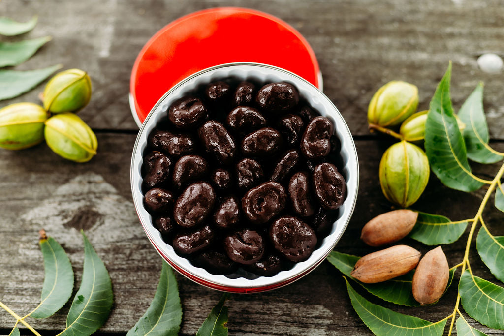 Dark Chocolate Covered Pecans